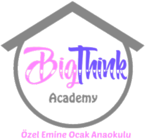 Emine Ocak Anaokulu