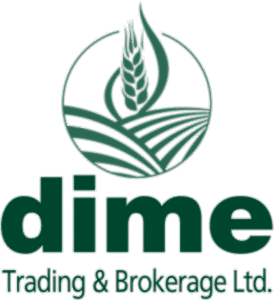 Dime Trading