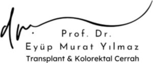 Eyüp Murat YILMAZ