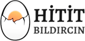 Hitit Bıldırcın