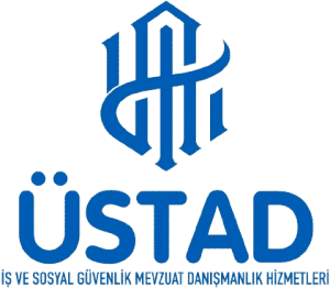 Üstad Danışmanlık