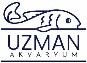 UZMAN AKVARYUM