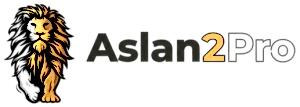 ASLAN 2 PRO