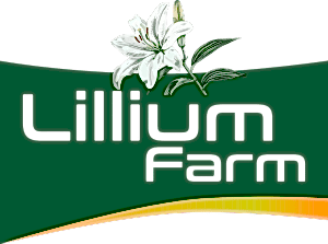 LILLIUM FARM