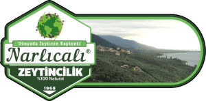 ZEYTİNİN BAŞKENTİ