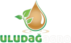 ULUDAĞ AGRO