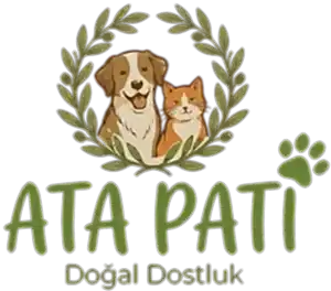 ATAPATİ